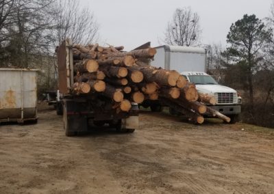 A truck is parked in the dirt near a pile of logs.