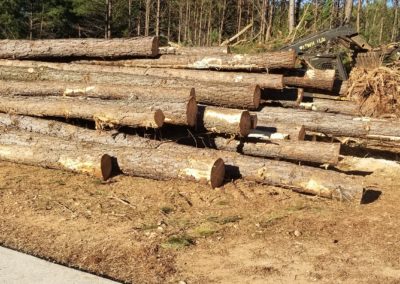 A pile of logs sitting on top of a dirt field.