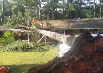 A tree that is falling down in the yard.