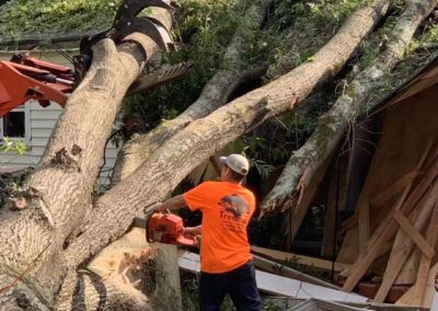 A man in an orange shirt is cutting down trees