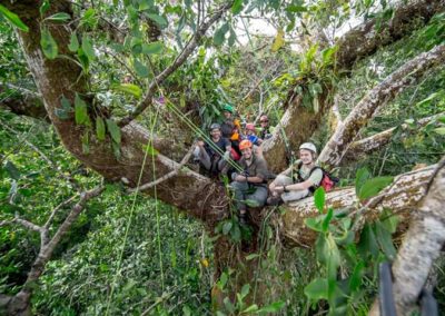 A group of people in the trees with helmets on.