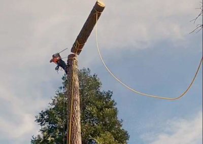 A man is climbing up the side of a pole